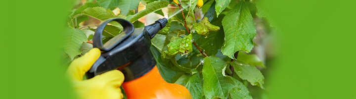 spritz und spruehgeraet kategorieeinstiegsbanner